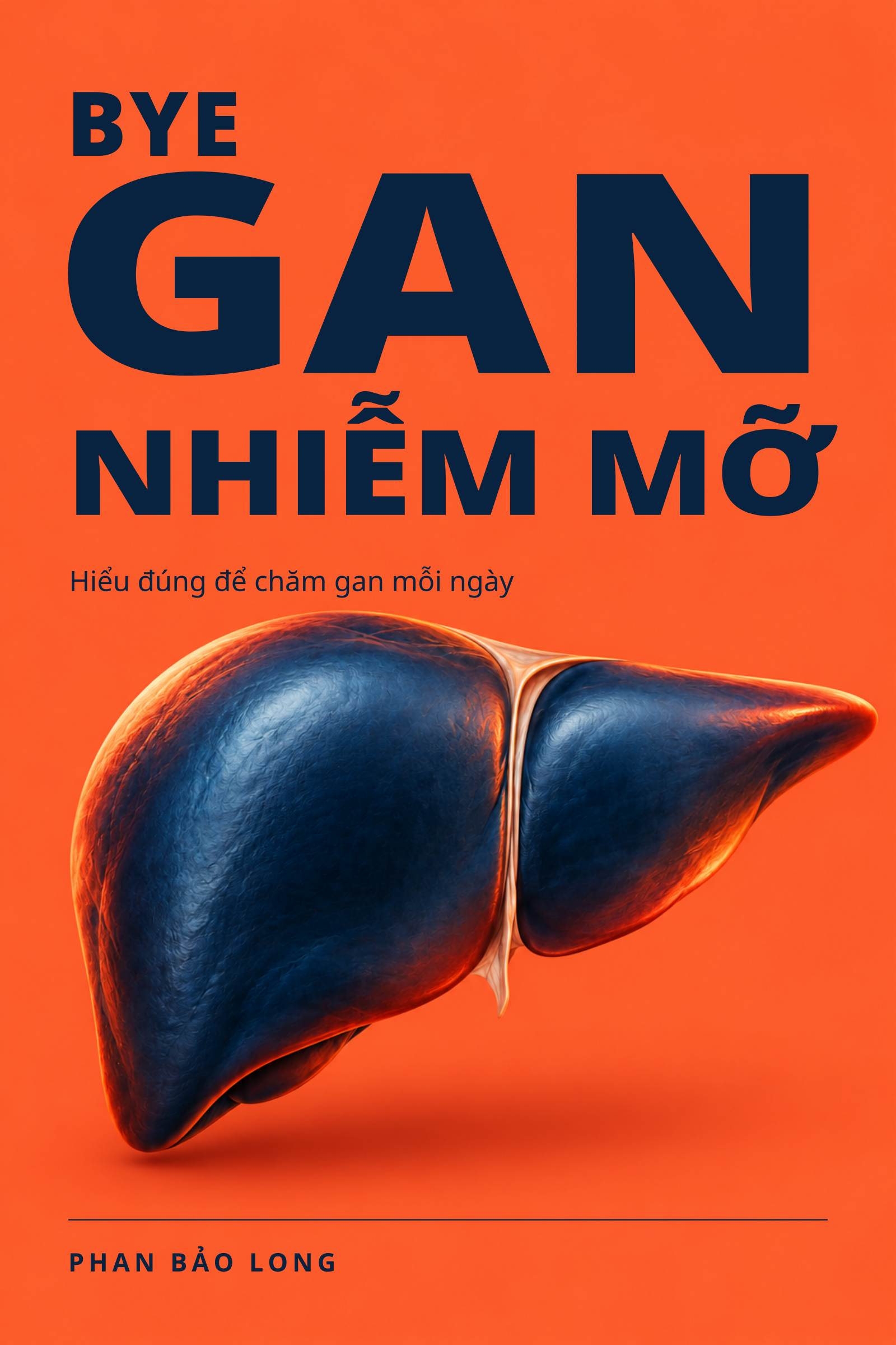 Bìa Bye Gan Nhiễm Mỡ của Phan Bảo Long
